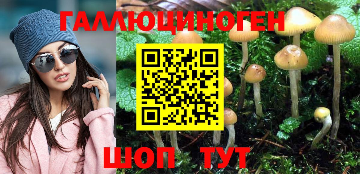 Псилоцибиновые грибы прущие грибы  Галлюциногенные грибы Cubensis  Таганрог  Вход с VPN 
